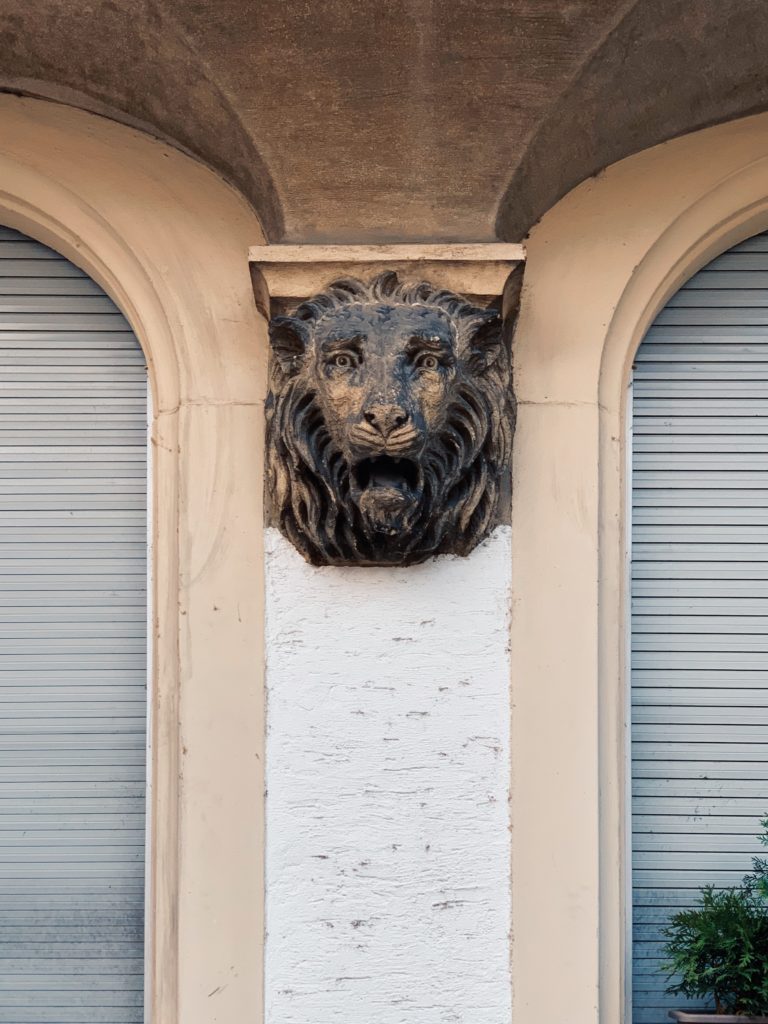 Lion head