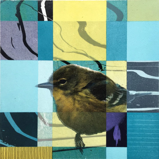 Matthias Maier | Paintings | The Greenfinch