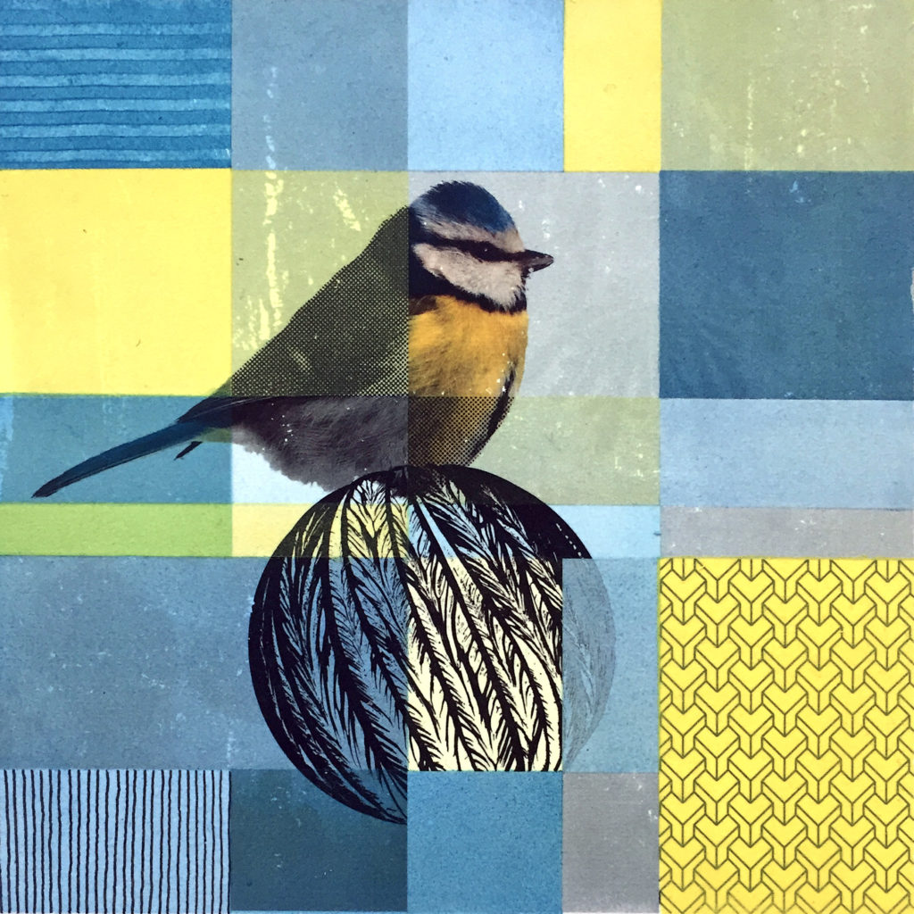 Matthias Maier | The Blue Tit