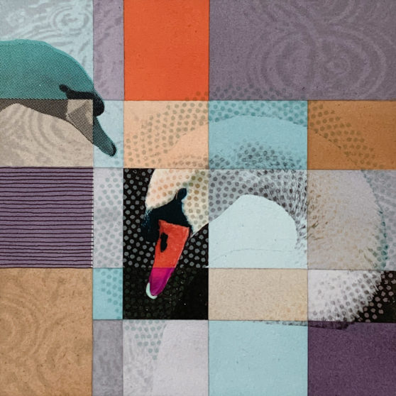 Matthias Maier | Paintings | Birds 2019 | The Swan