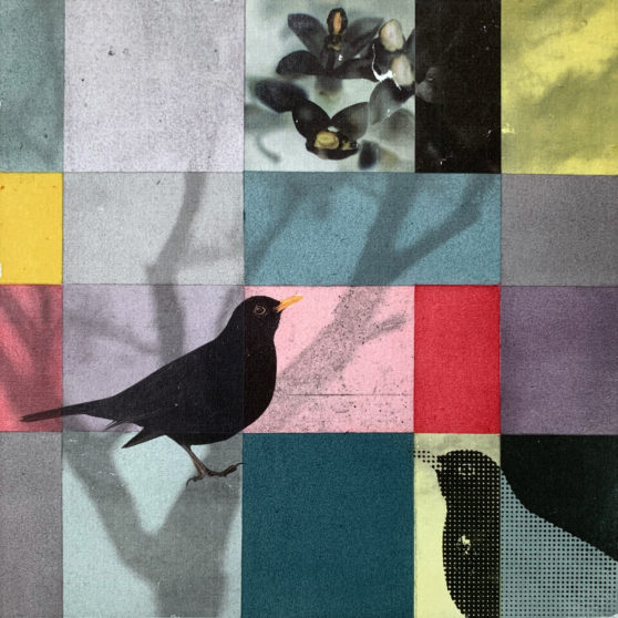 Matthias Maier | Paintings | The Blackbird