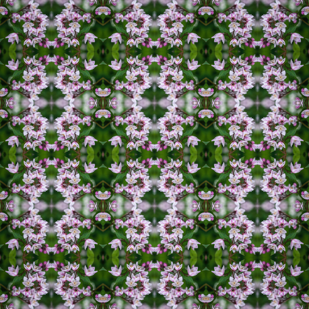 Matthias Maier | Geometrix | Small Blossoms – 02