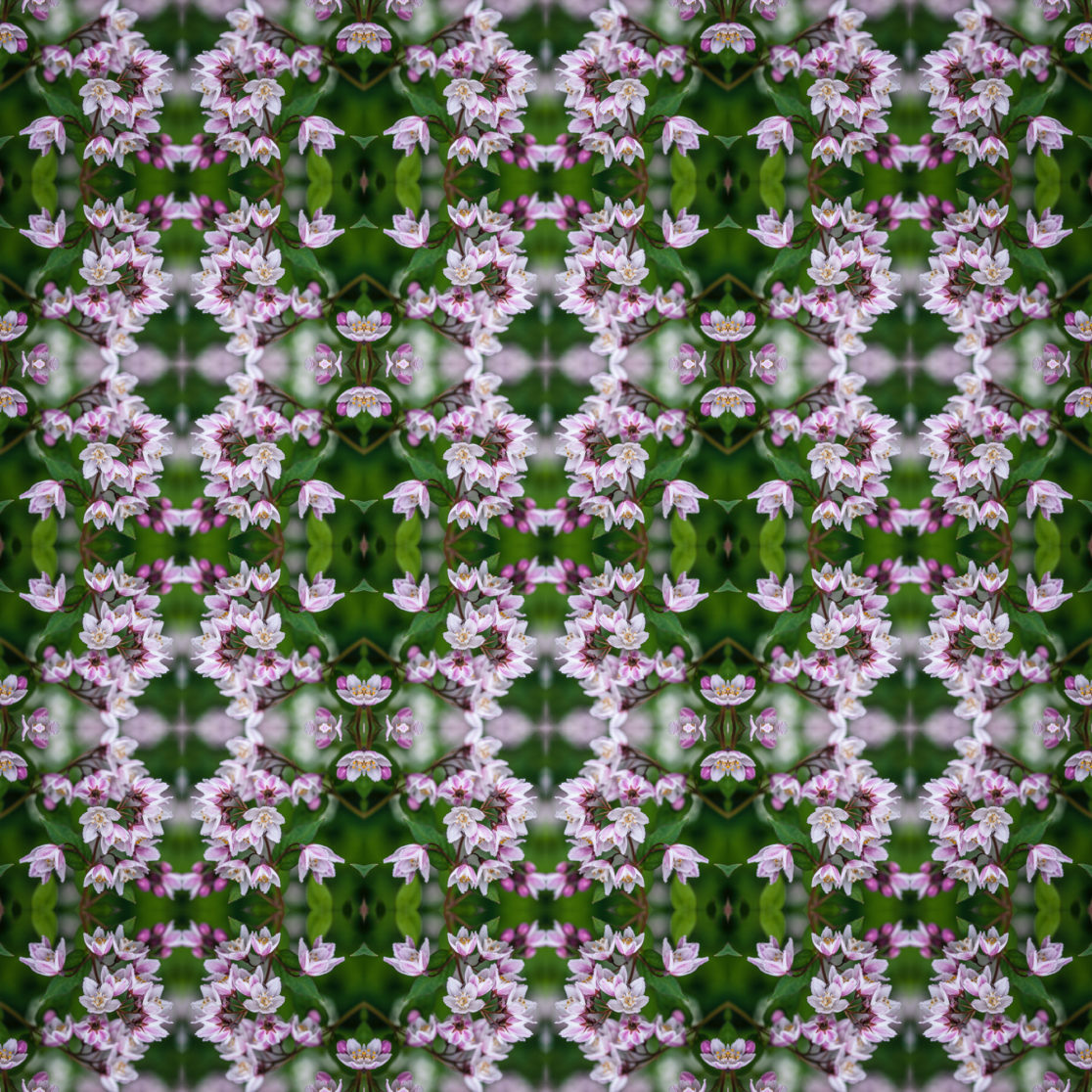 Matthias Maier | Geometrix | Small Blossoms – 02