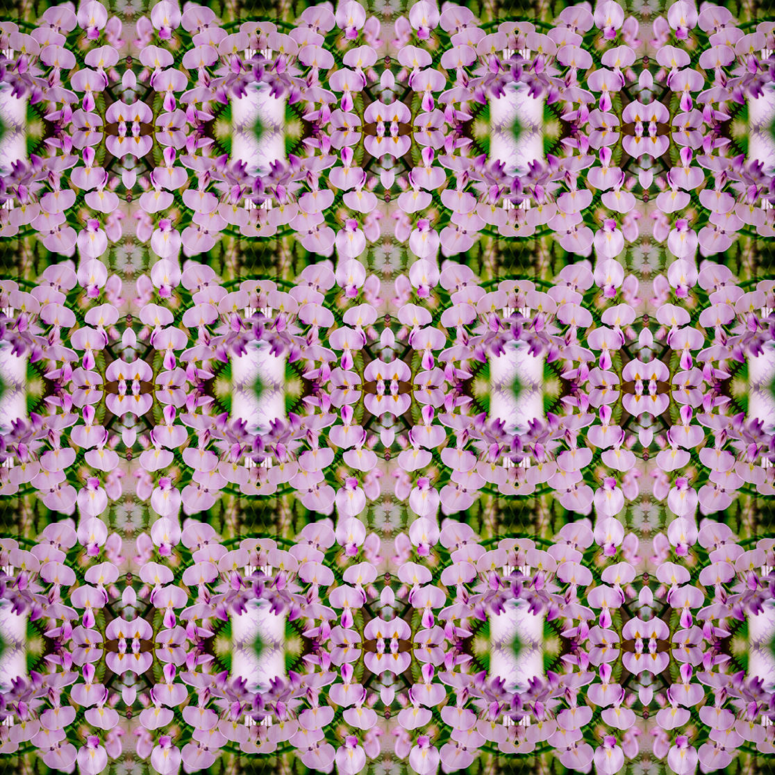 Matthias Maier | Geometrix | Small Blossoms – 04