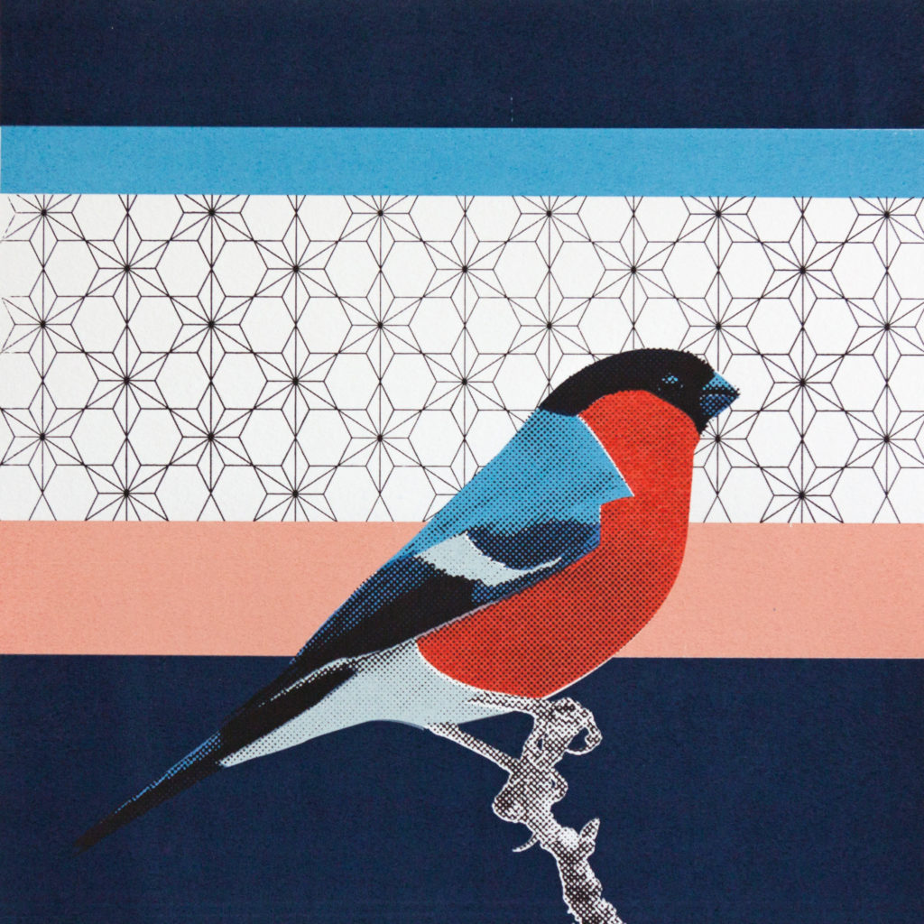 Matthias Maier | Screenprint | The Bullfinch