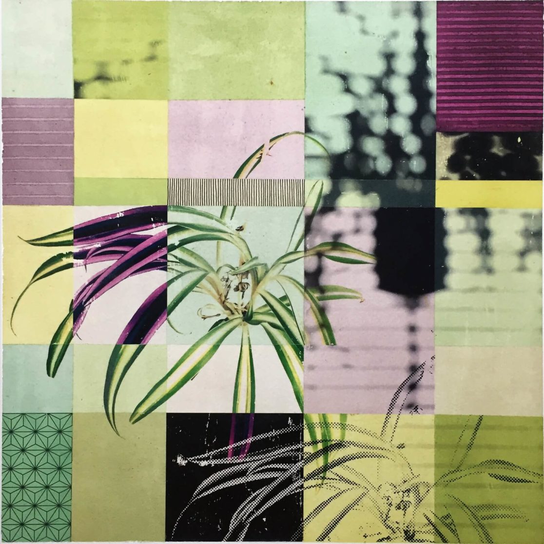 Matthias Maier | Paintings | Selfabstraction of a spider plant