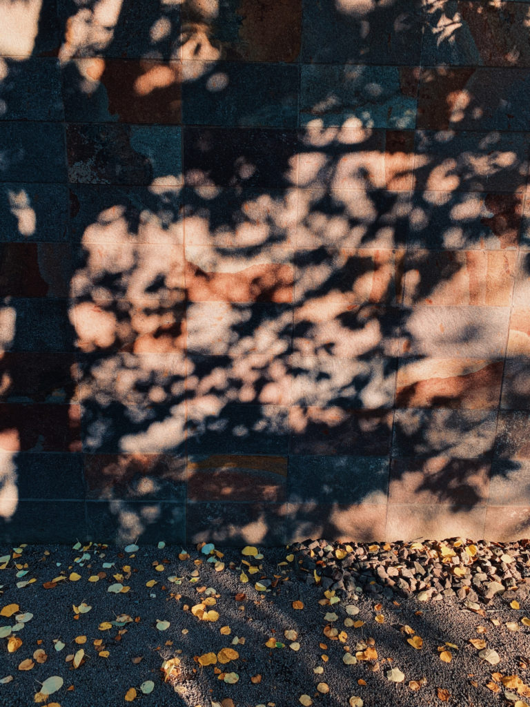 Matthias Maier | Shadows on the wall