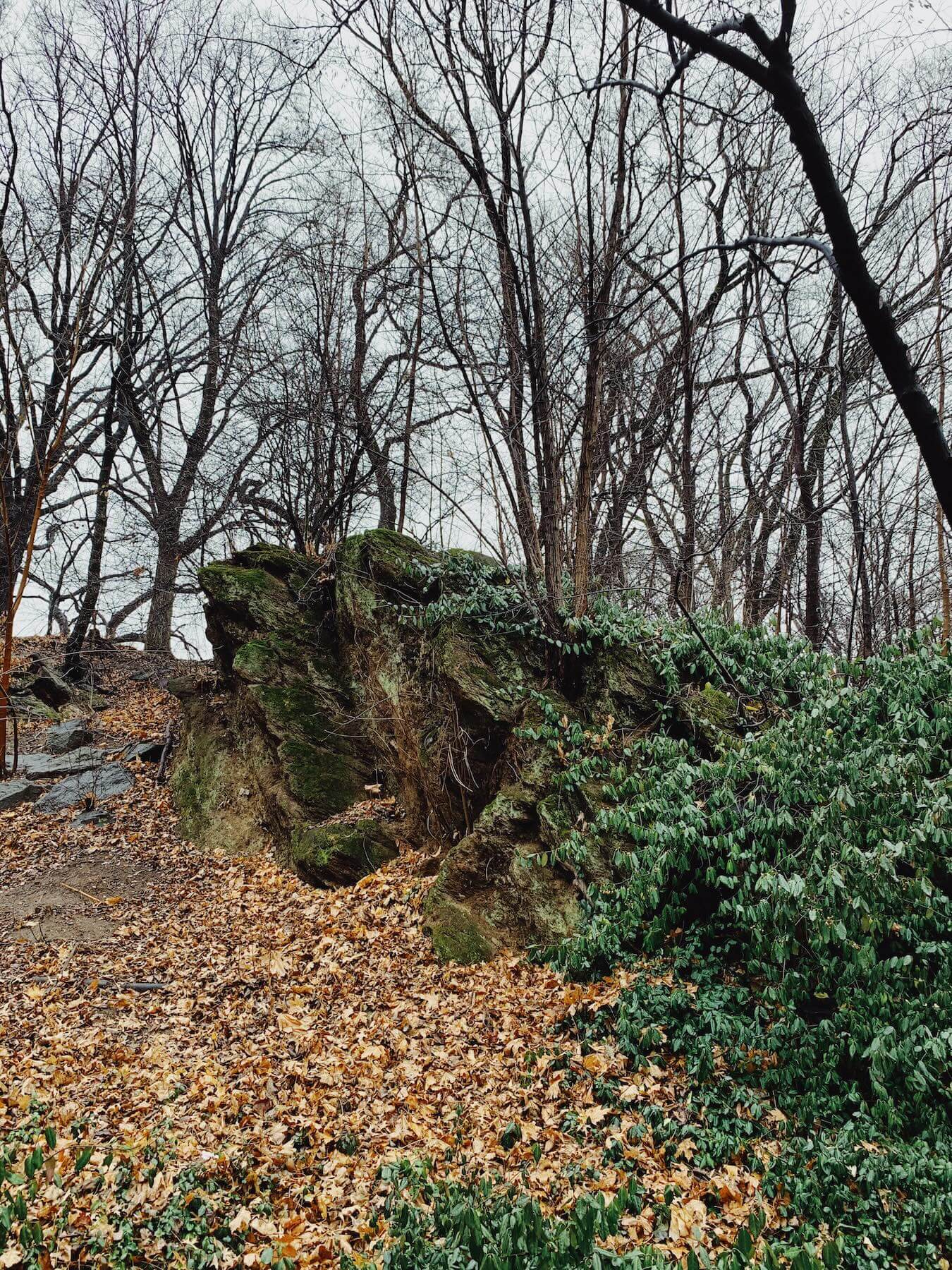 Matthias Maier | Rocks in the Park