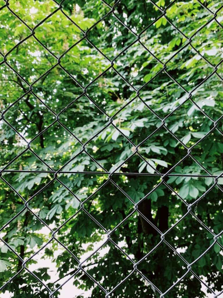 Matthias Maier | Nature behind wire mesh