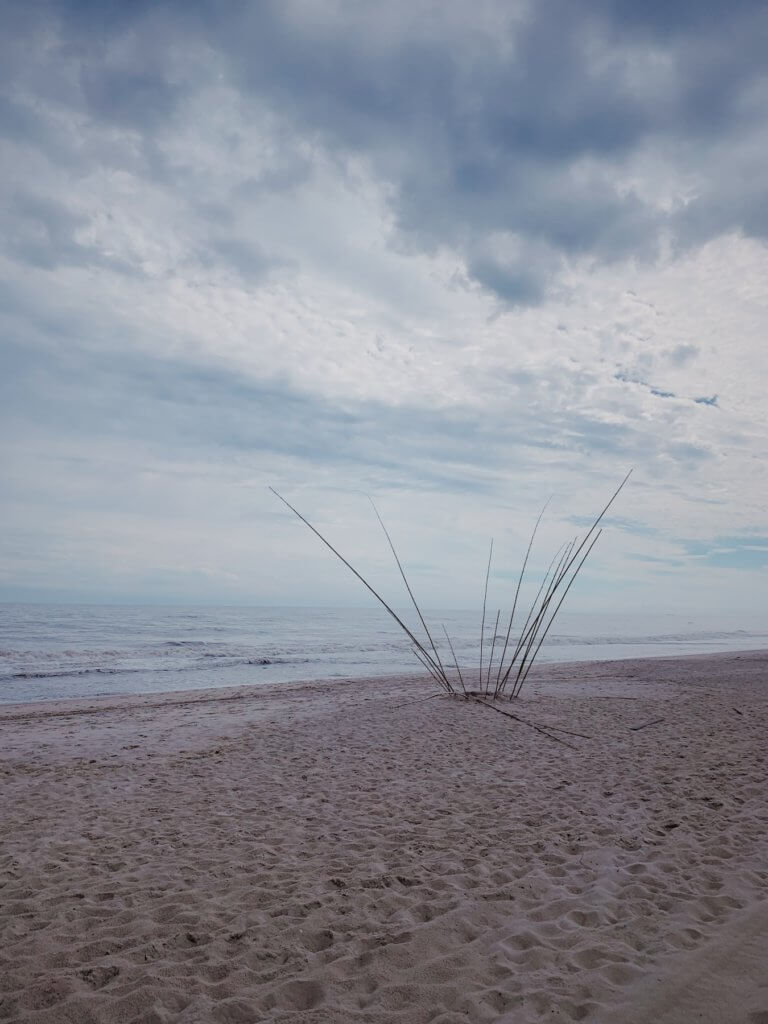 Matthias Maier | Beach Art