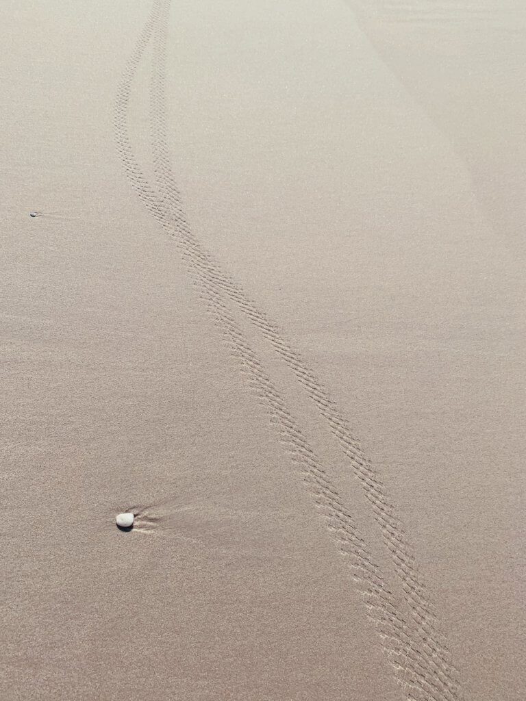 Matthias Maier | Traces in the sand