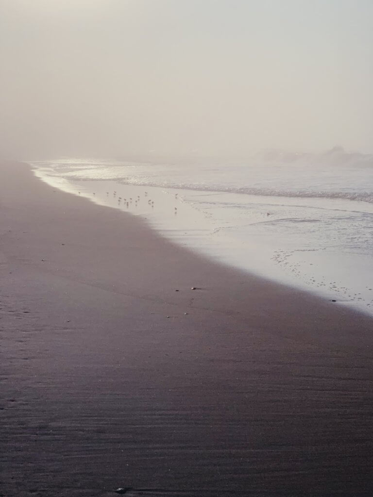 Matthias Maier | Foggy beach scene