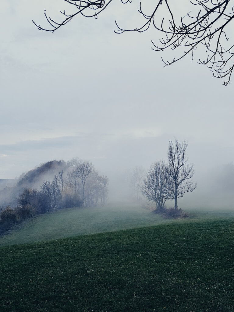 Matthias Maier | Fog