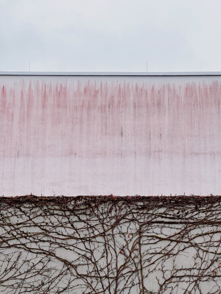 Matthias Maier | Pink wall
