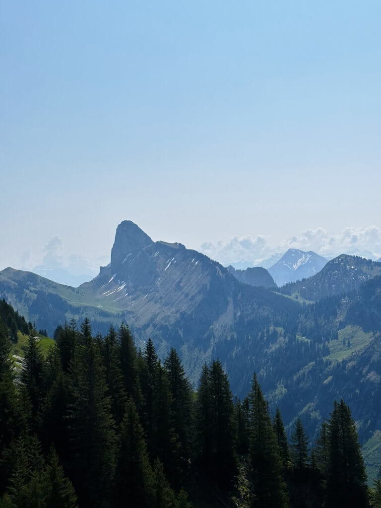 Matthias Maier | The top of this peak is our destination
