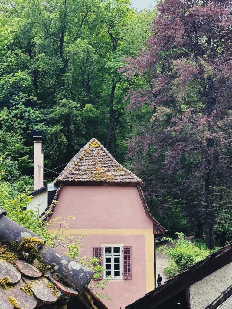 Matthias Maier | Ermitage - The forest cottages