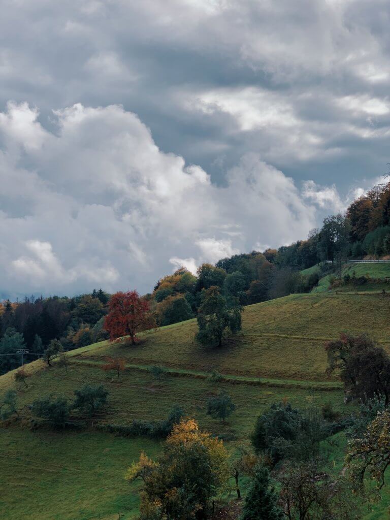 Matthias Maier | Fall landscape