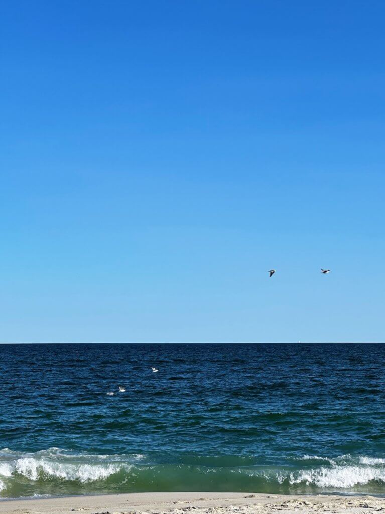Matthias Maier | Flying Gulls