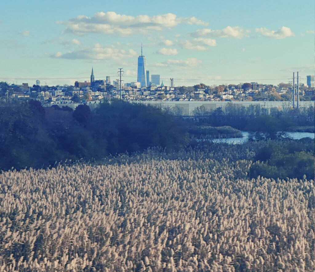 Matthias Maier | Blog | Week 45 2023 | View from New Jersey on NYC