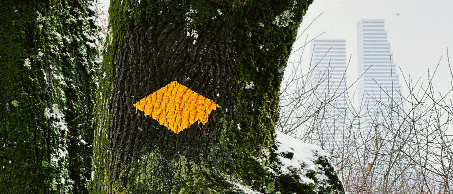 Matthias Maier | Blog | Week 48 2023 | Hiking symbol on winterly trees