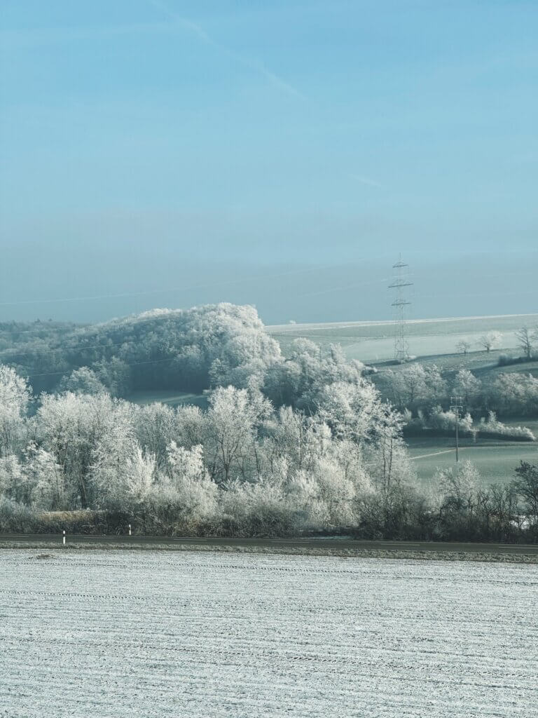 Matthias Maier | Frosty landscape