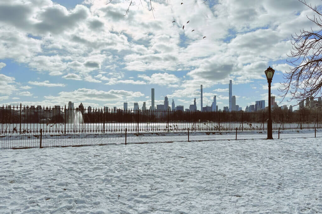 Matthias Maier | Stories | Week 03 2024 | Snow in Central Park