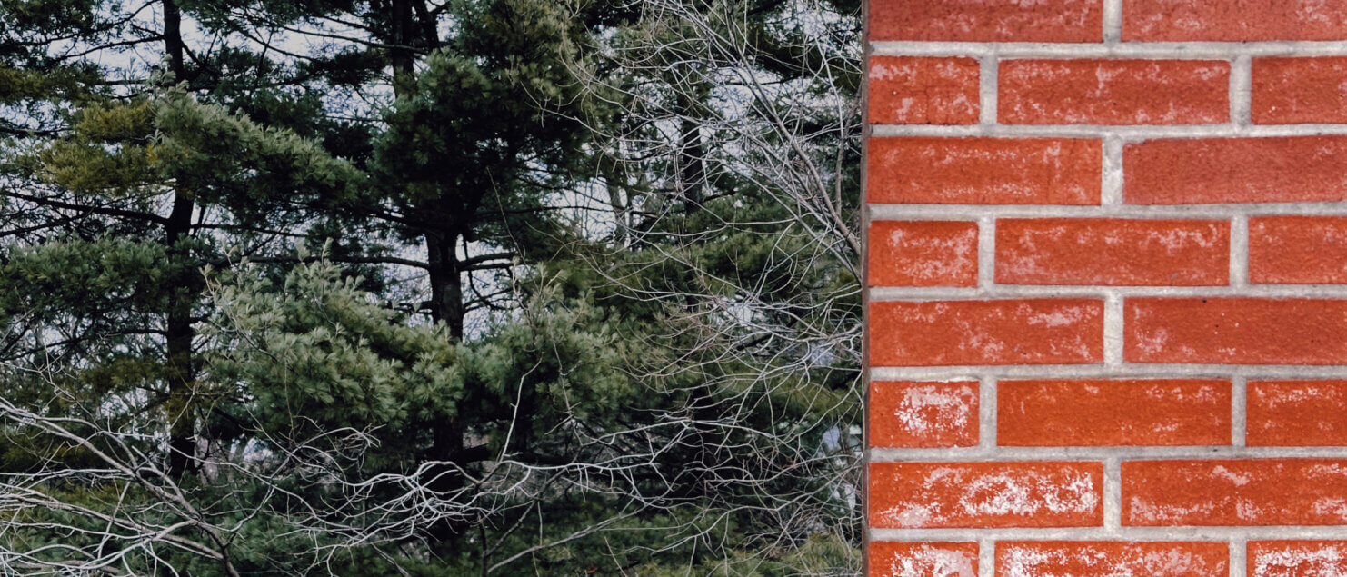 Matthias Maier | Stories | Week 06 2024 | Trees and wall pattern at Woodbridge train station