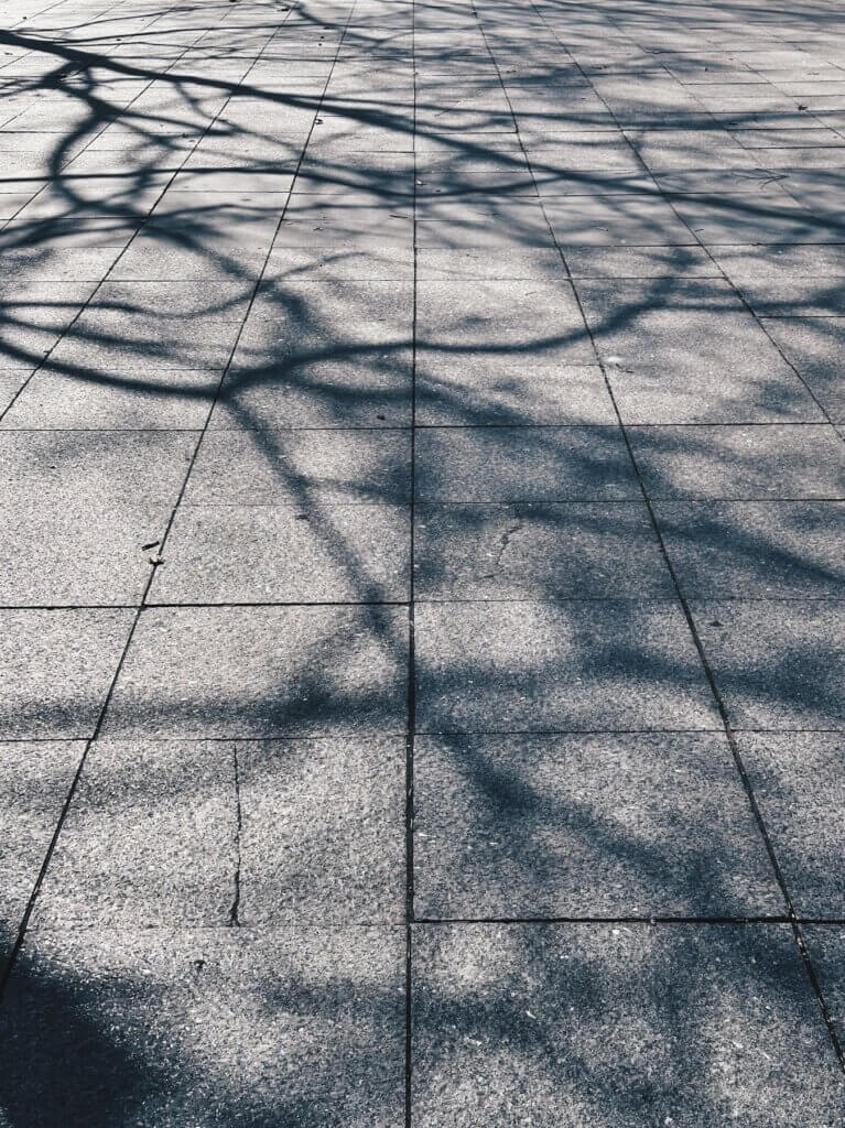 Matthias Maier | Shadows in Millennium Park