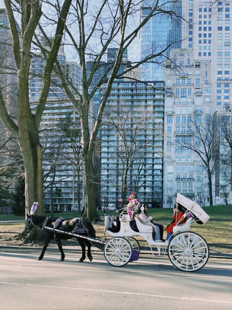 Matthias Maier | Central Park horse carriage
