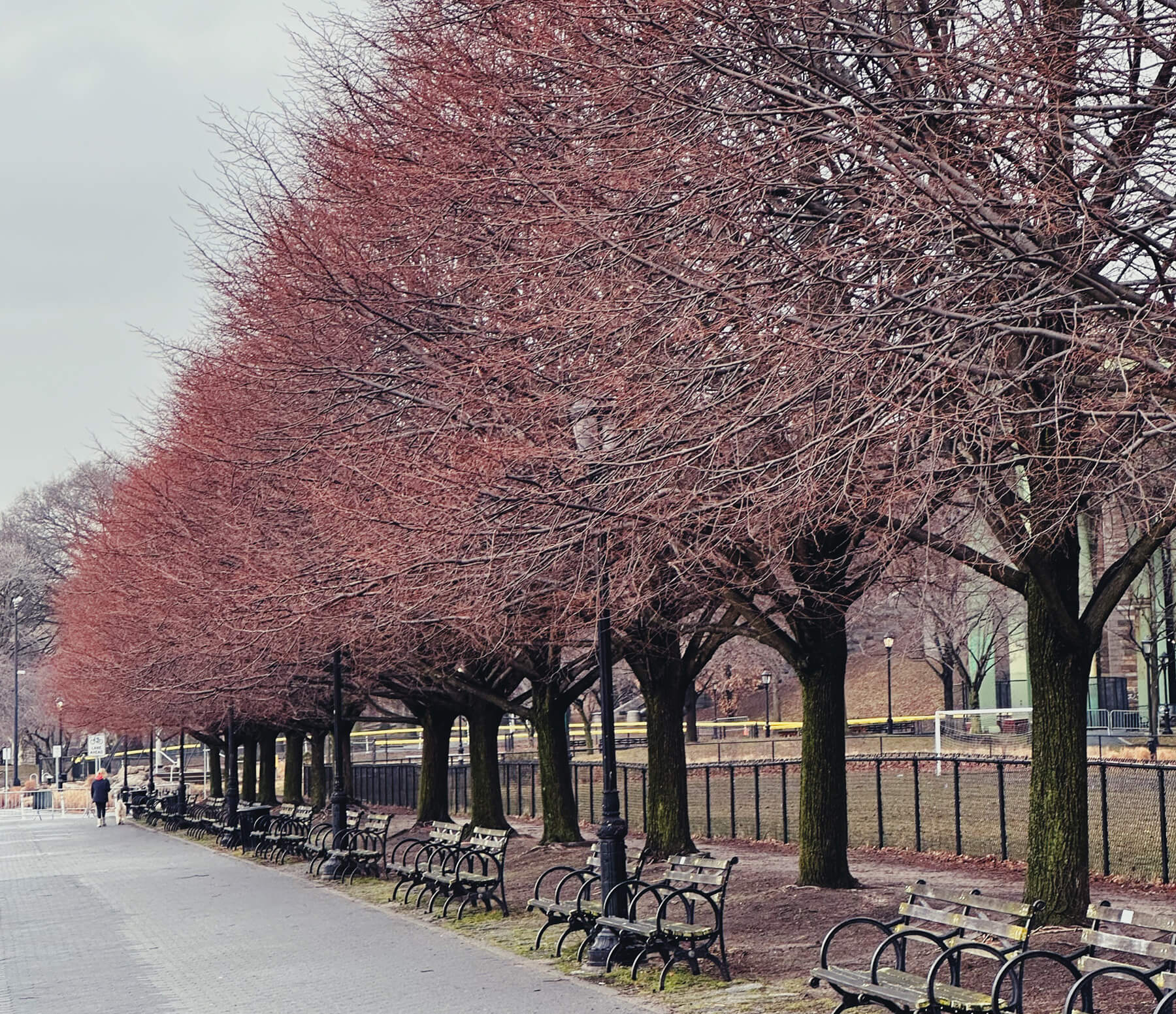 Matthias Maier | Stories | Week 09 | Trees with red aura