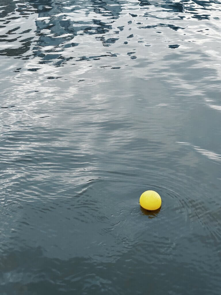 Matthias Maier | Yellow ball in the Hudson