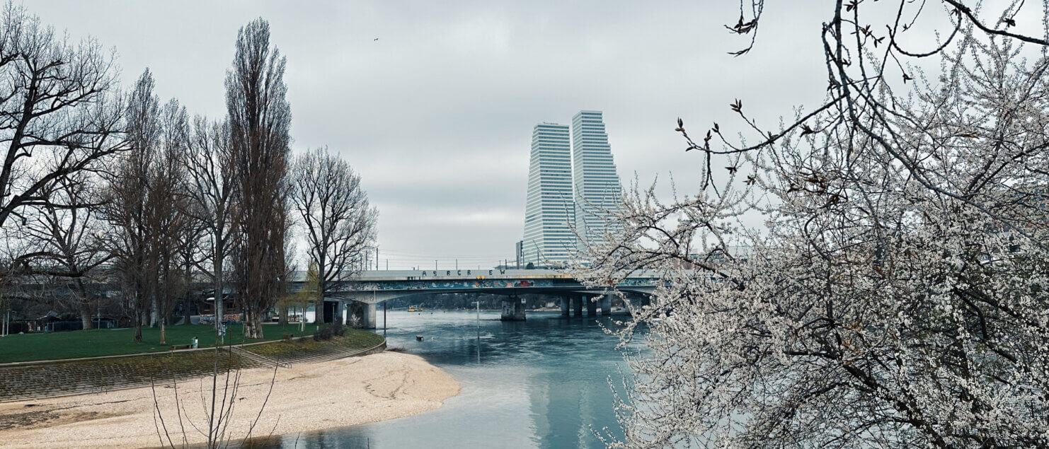 Matthias Maier | Stories | Week 10 | Roche Towers reflecting in the Rhine river