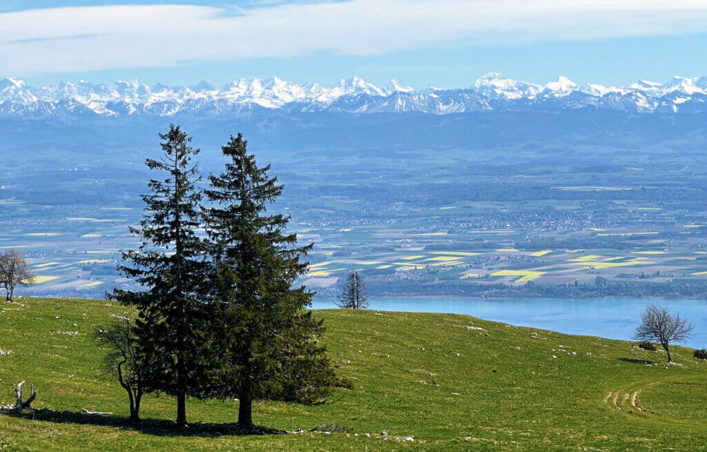 Matthias Maier | Stories | Week 15 | View over the Swiss Plateau to the Alps