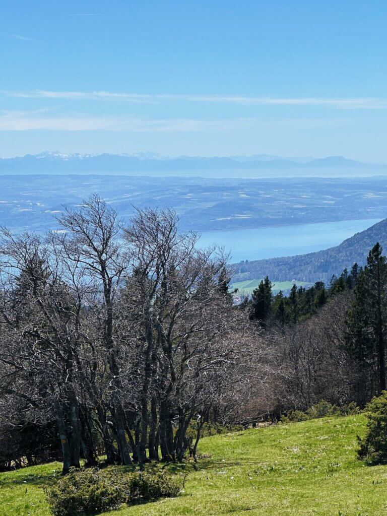 Matthias Maier | View on Lake Neuchâtel and Lake Geneva