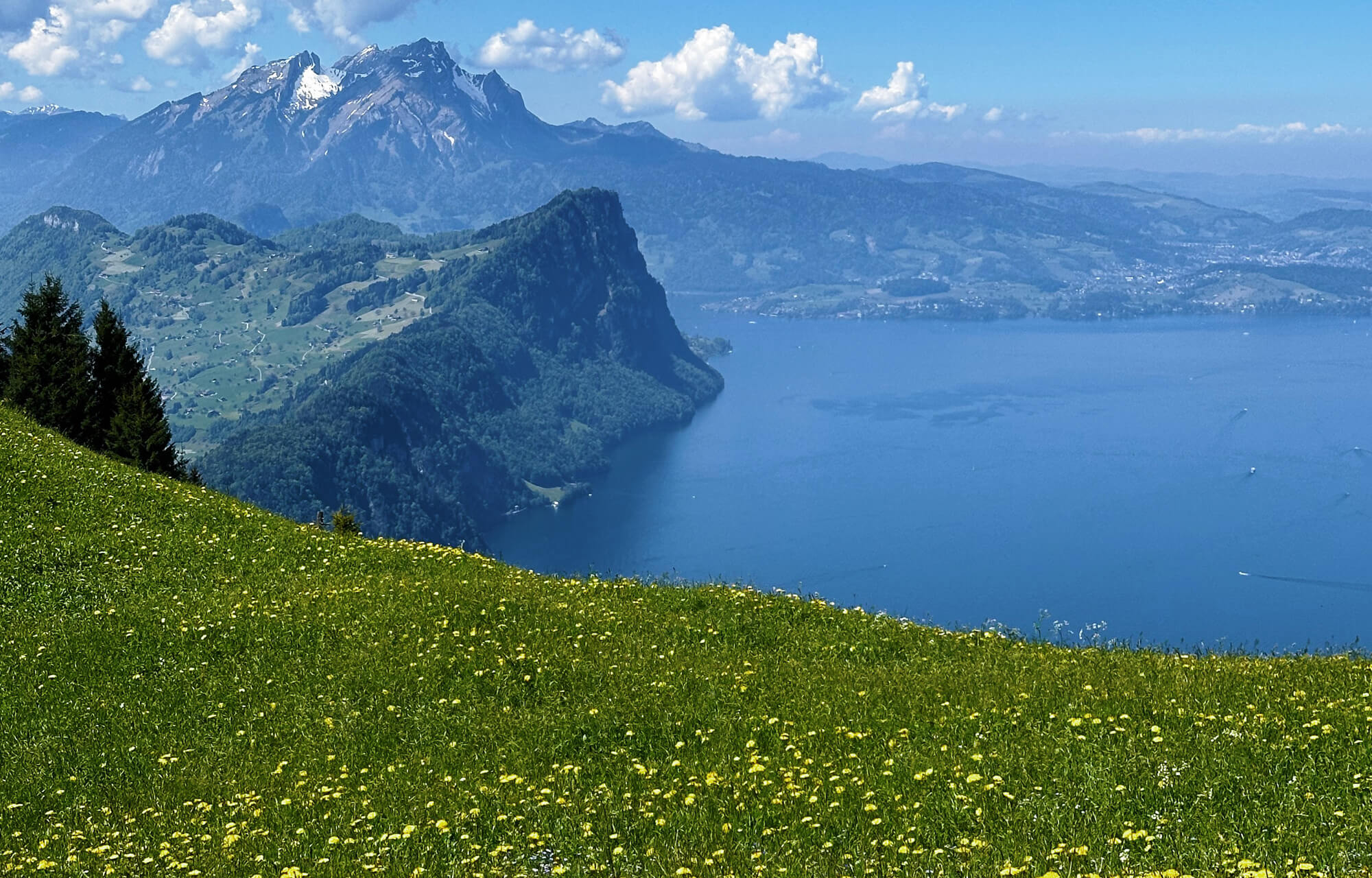 Matthias Maier | Stories | Week 19 2024 | View on Lake Lucern