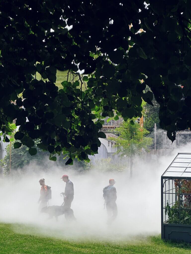 Matthias Maier | Visitors in the mist