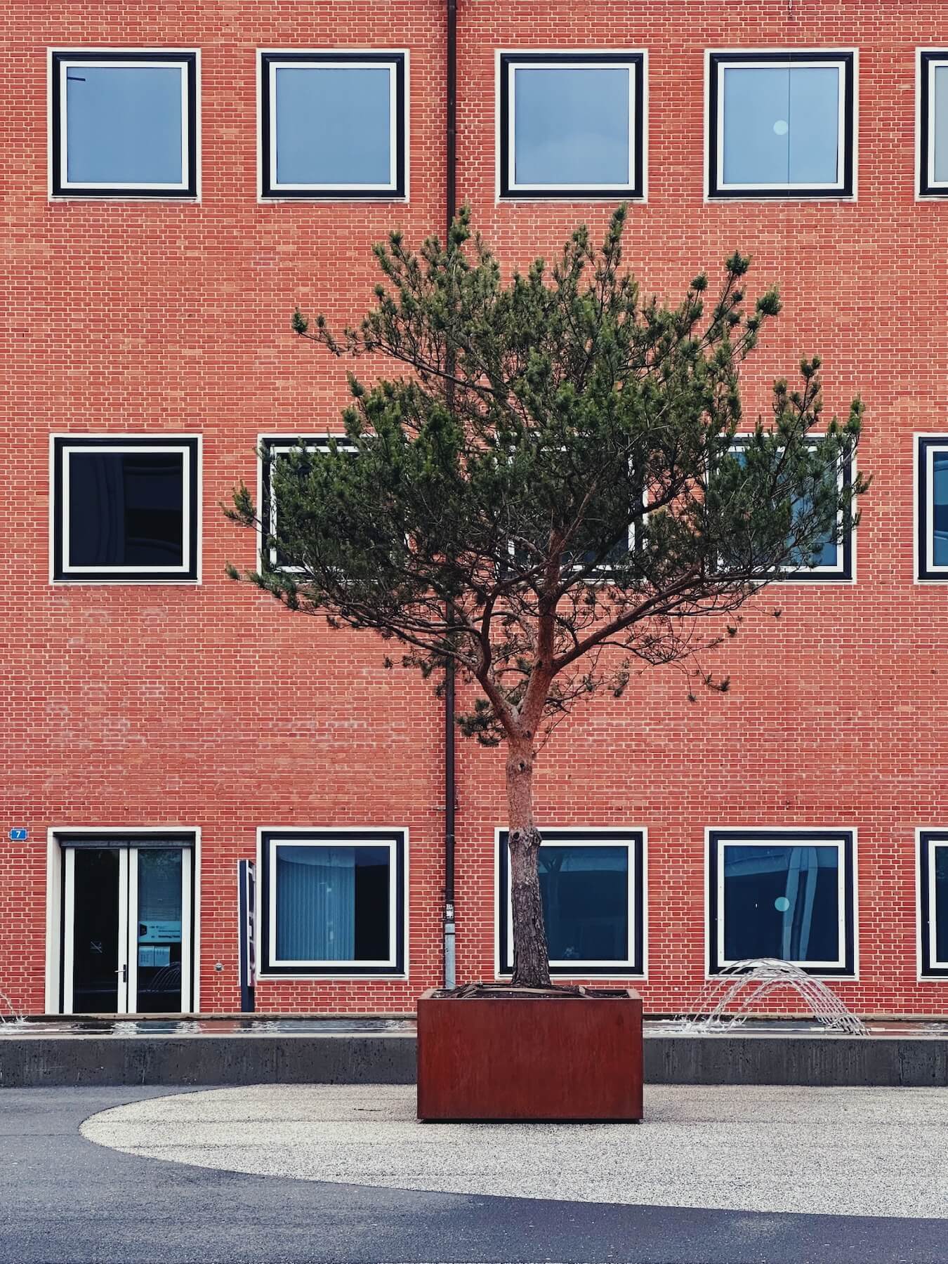 Matthias Maier | Urban pine