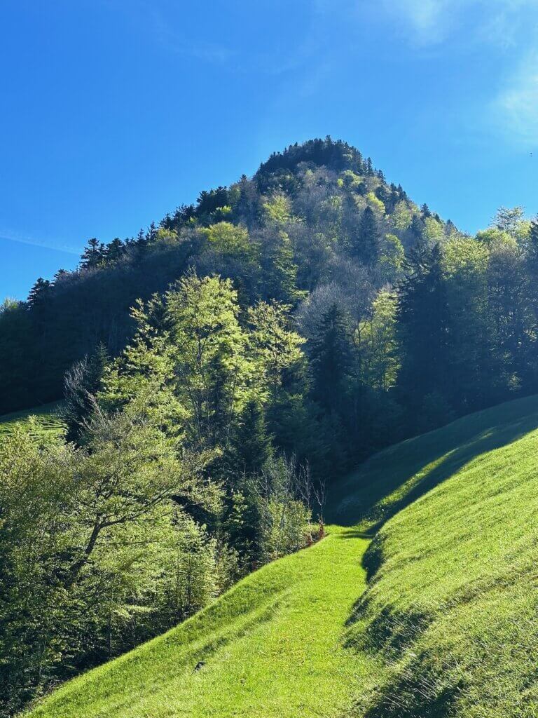 Matthias Maier | Hiking uphill