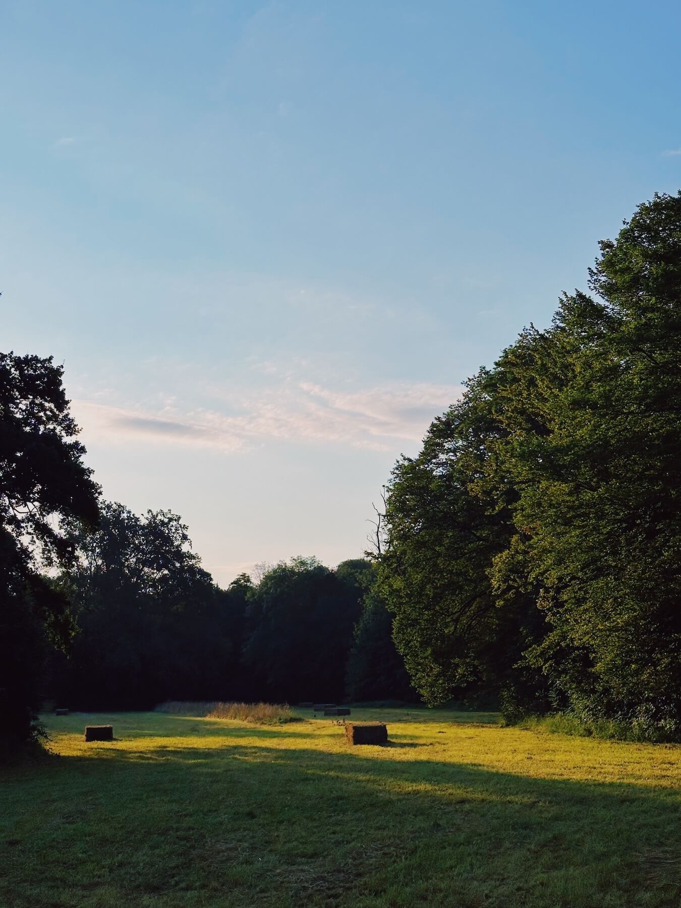 Matthias Maier | Floodplain landscape