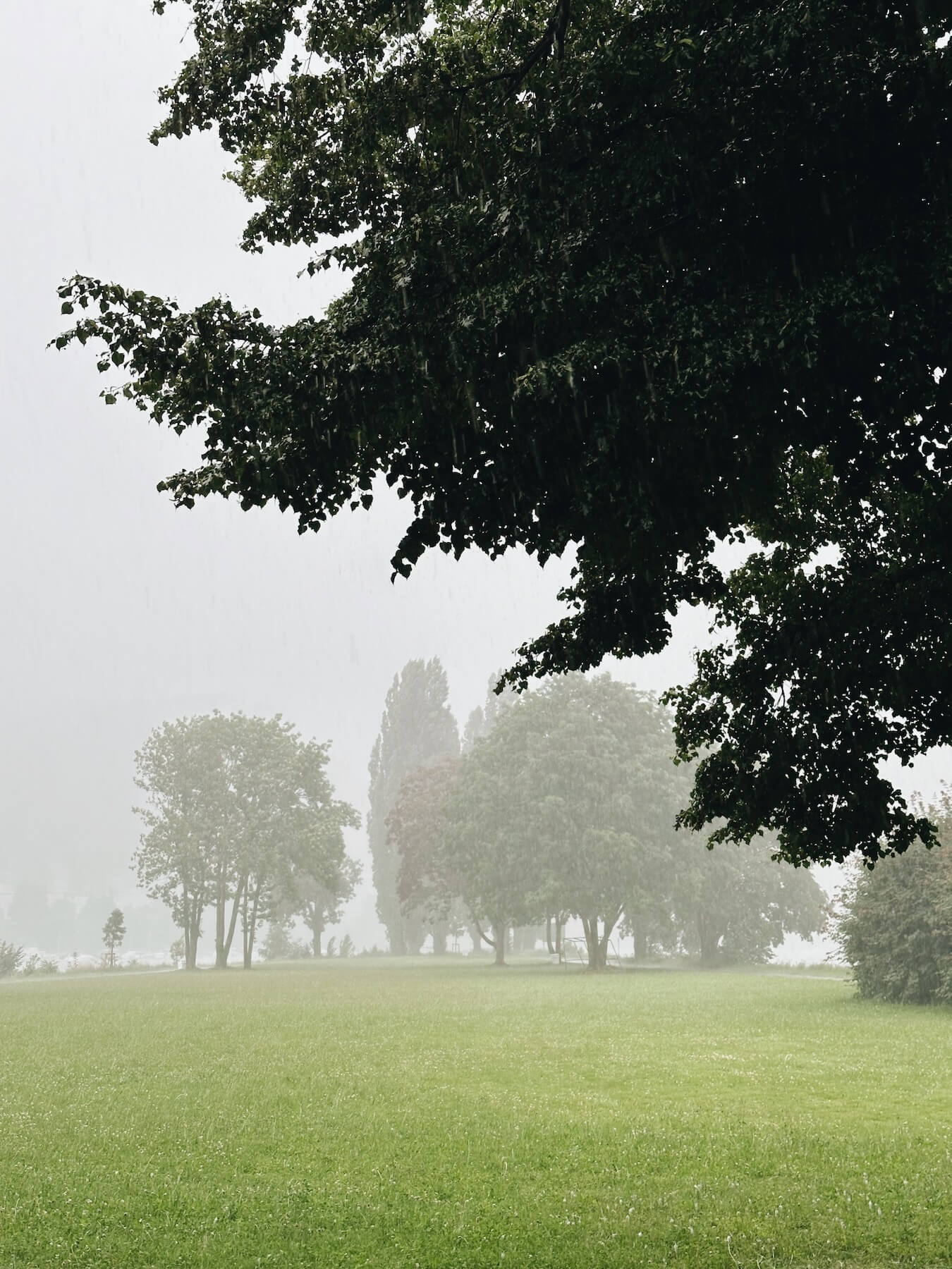 Matthias Maier | Rain run I