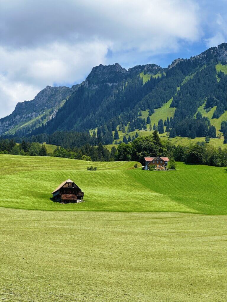 Matthias Maier | Swiss landscape