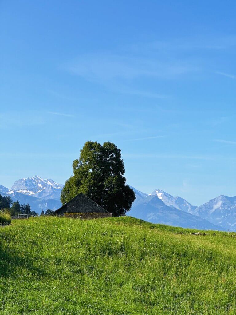 Matthias Maier | Mountains, yeah!