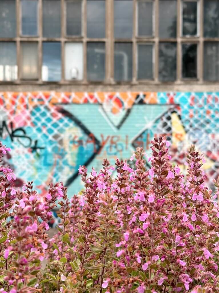 Matthias Maier | Graffiti flora III