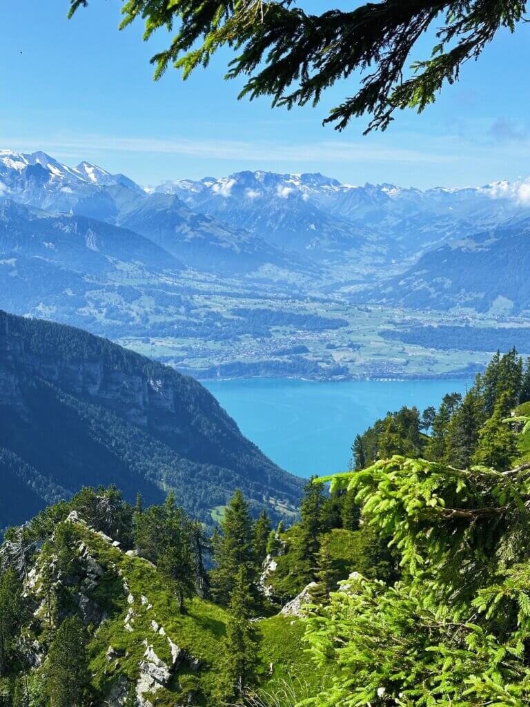 Matthias Maier | View down into the valley