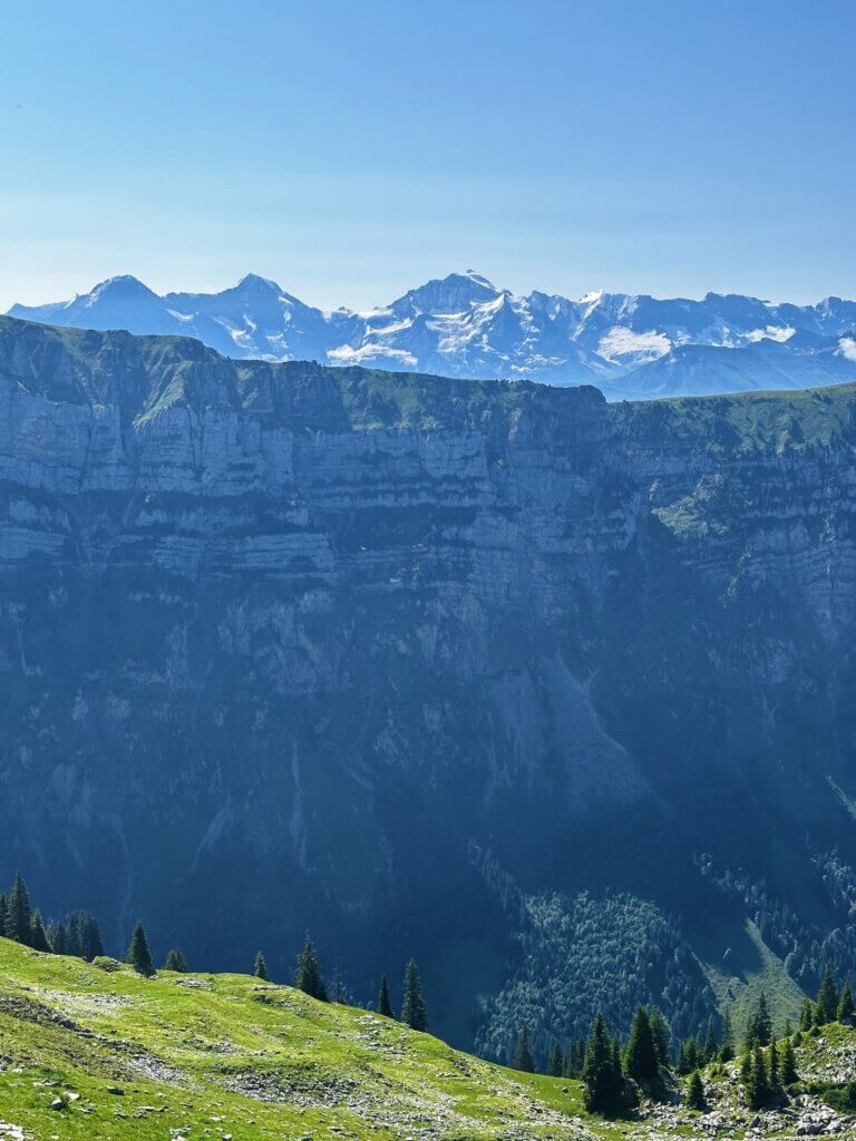 Matthias Maier | Burgfeldstand