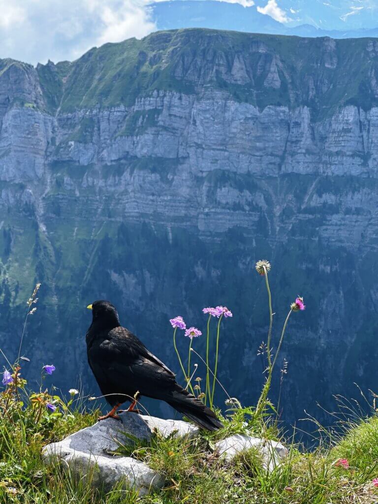 Matthias Maier | Enjoying the view