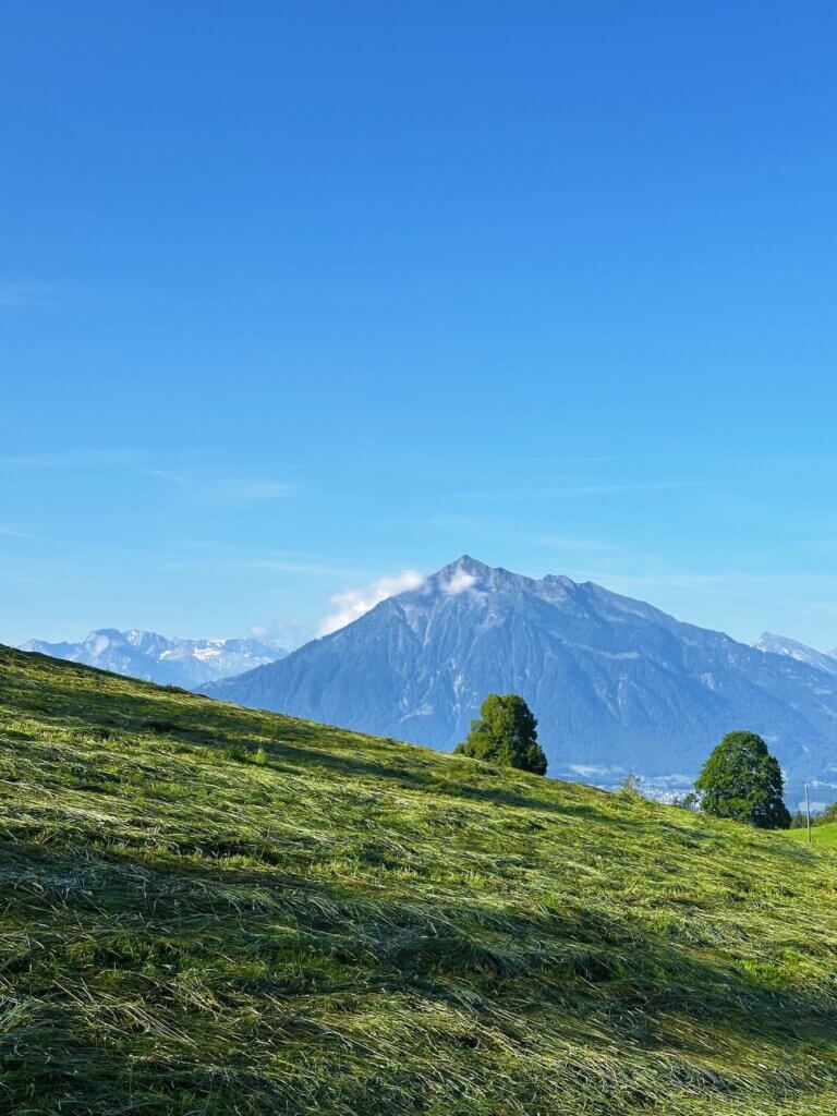 Matthias Maier | Mount Niesen