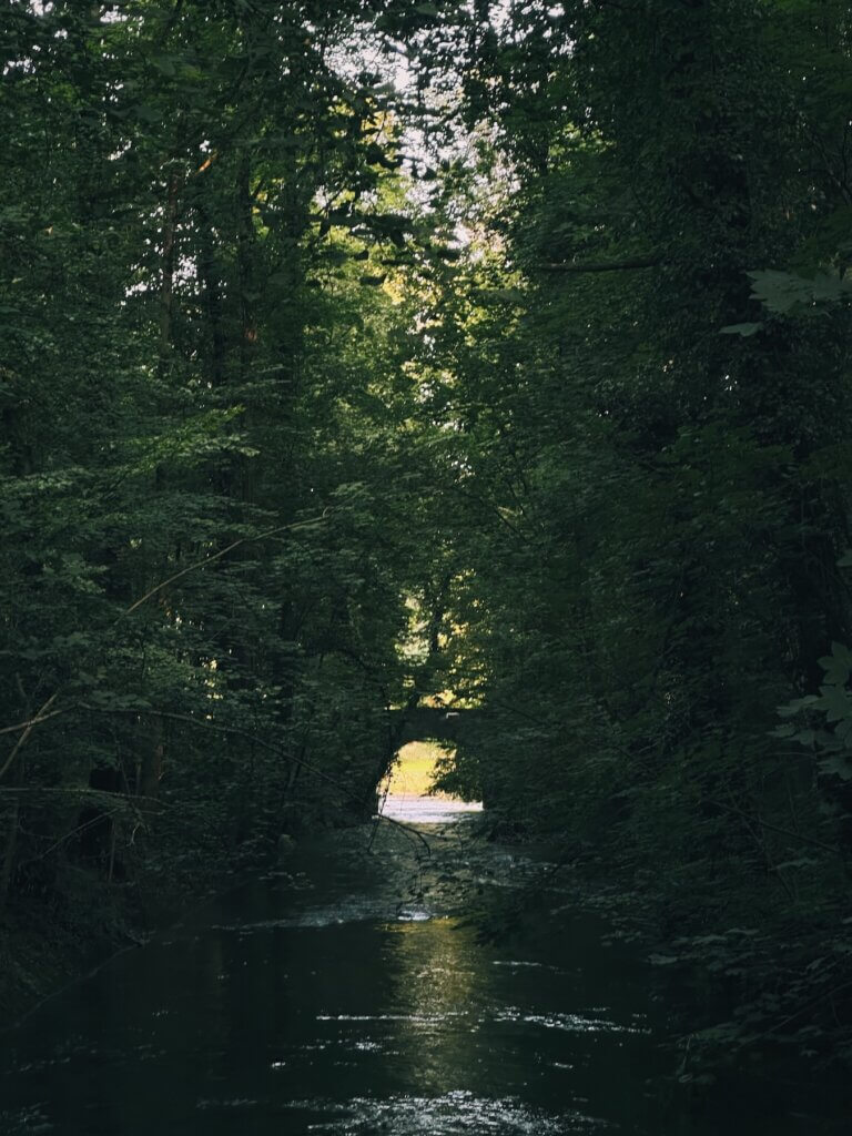 Matthias Maier | Canal through the forest