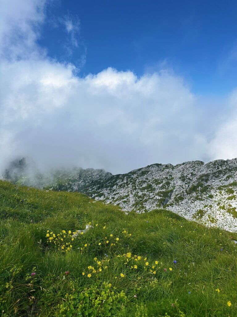 Matthias Maier | Summit landscape