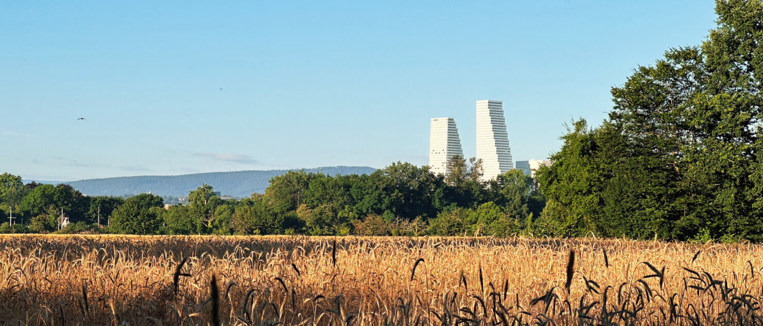 Matthias Maier | Stories | Week 28 2024 | City towers behind barley field